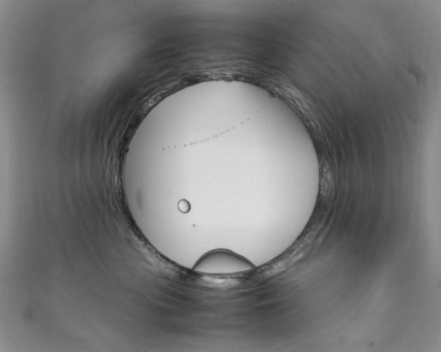 X0000111650477200907171102