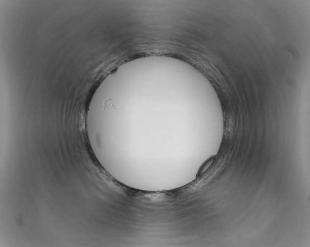 X0000111650478200907171102