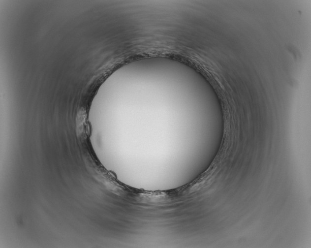 X0000111650480200907171102