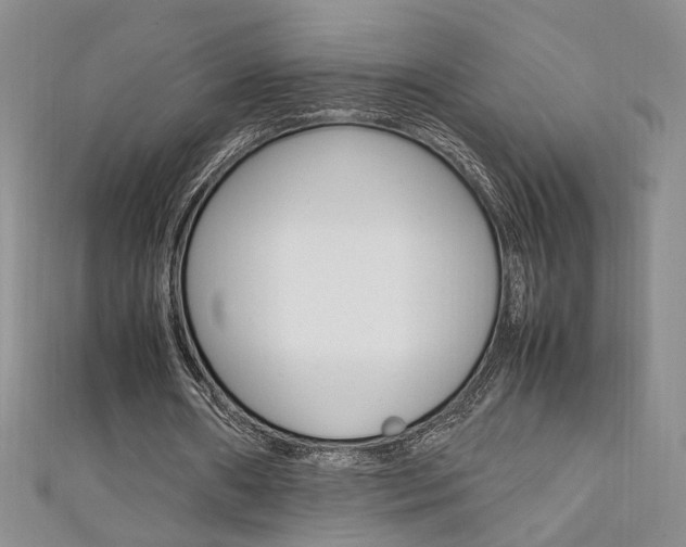 X0000111650482200907171102