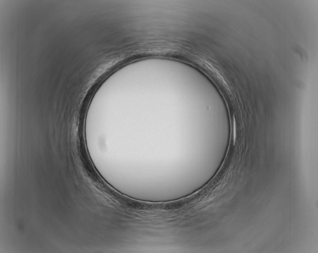 X0000111650483200907171102