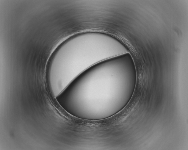 X0000111650484200907171102