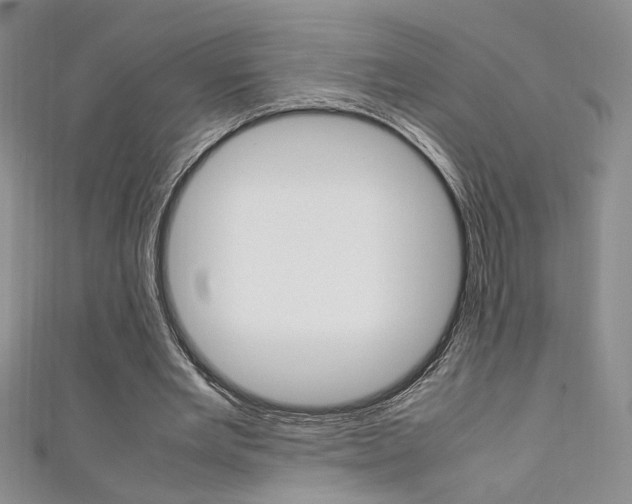 X0000111650485200907171102