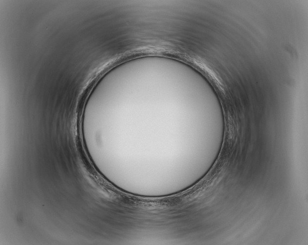X0000111650486200907171102