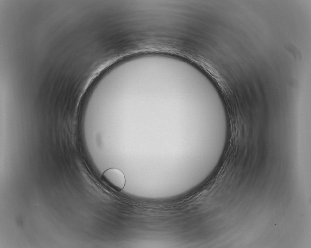 X0000111650488200907171102