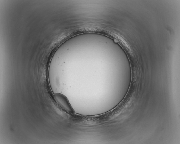 X0000111650489200907171102