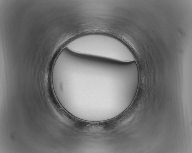 X0000111650491200907171102
