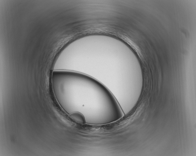 X0000111650493200907171102