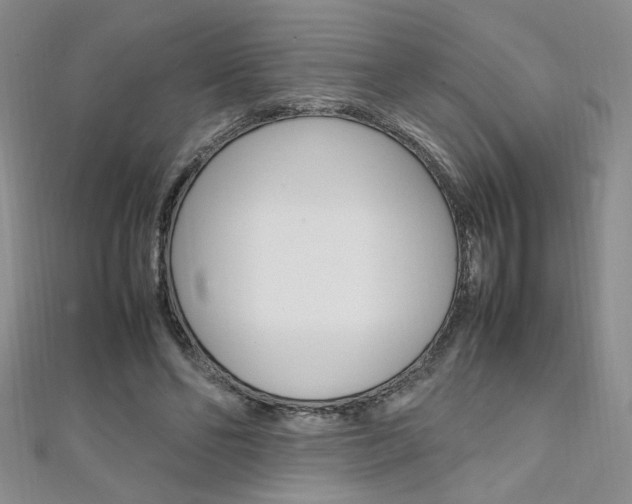 X0000111650494200907171102
