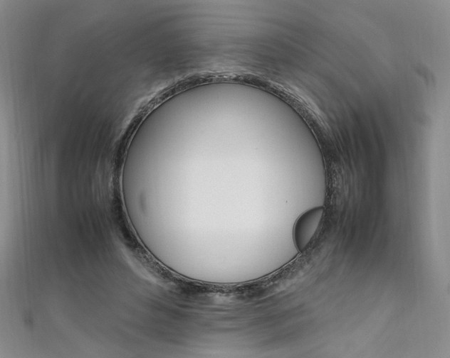 X0000111650496200907171102