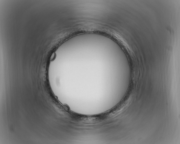 X0000111650497200907171102