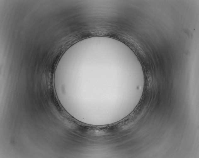 X0000111650498200907171102
