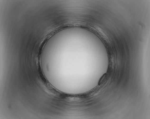 X0000111650500200907171102