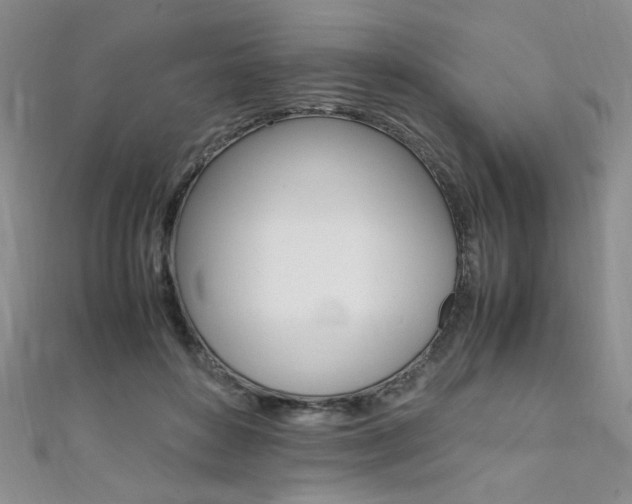 X0000111650504200907171102