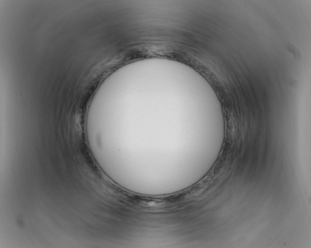 X0000111650506200907171101