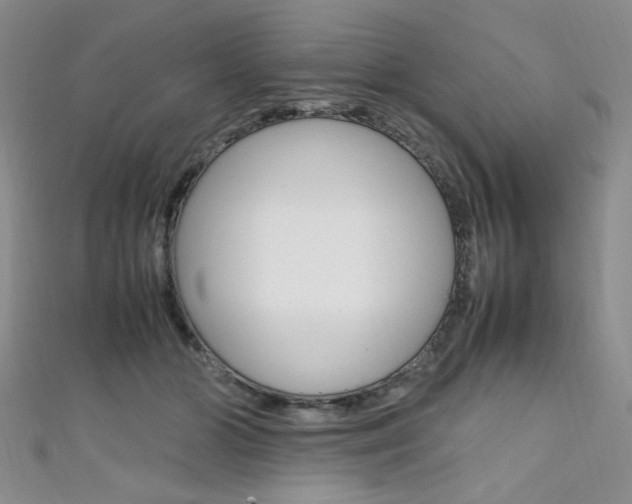 X0000111650510200907171101