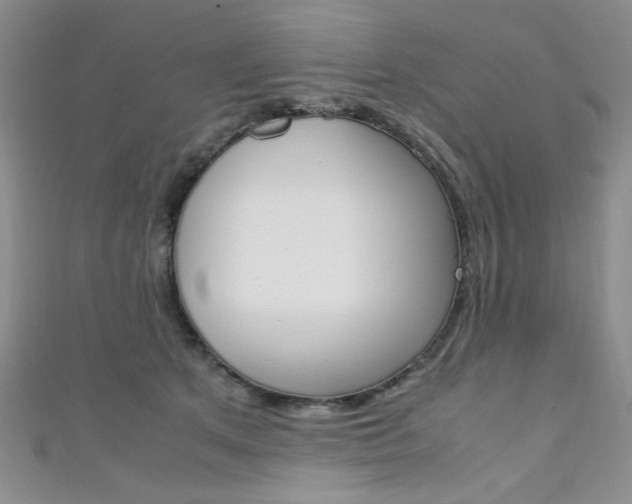 X0000111650513200907171101