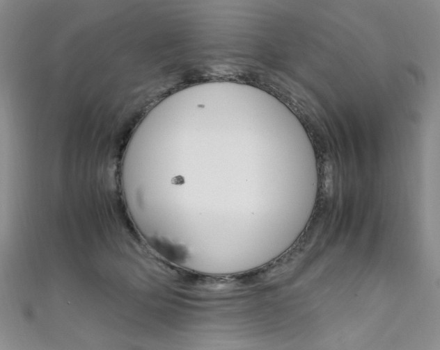 X0000111650514200907171101
