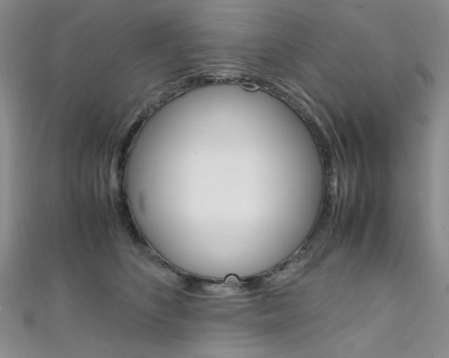 X0000111650516200907171101