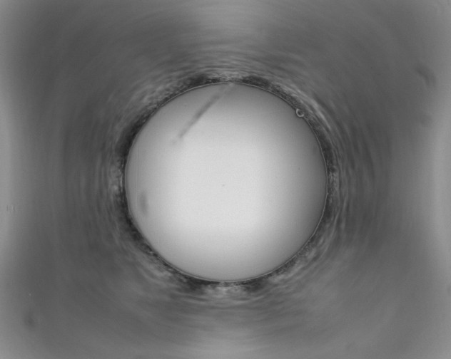 X0000111650517200907171101