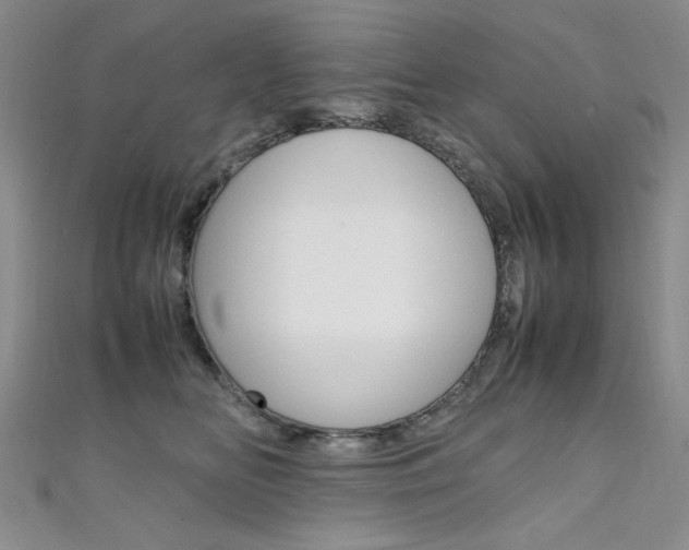 X0000111650518200907171101