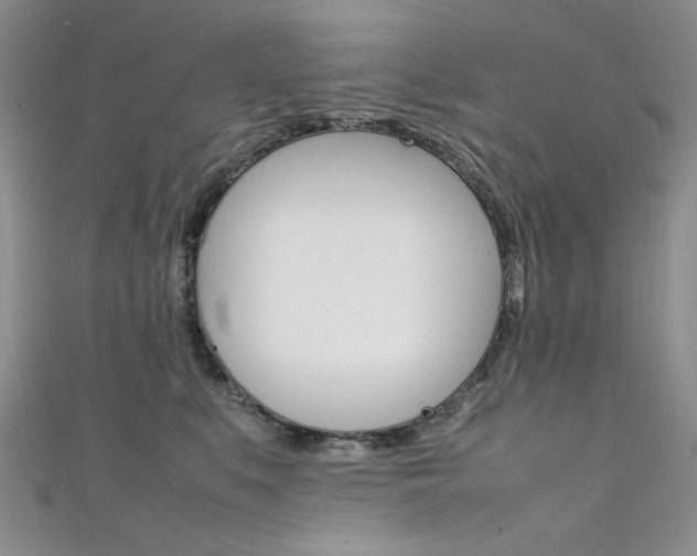 X0000111650519200907171101