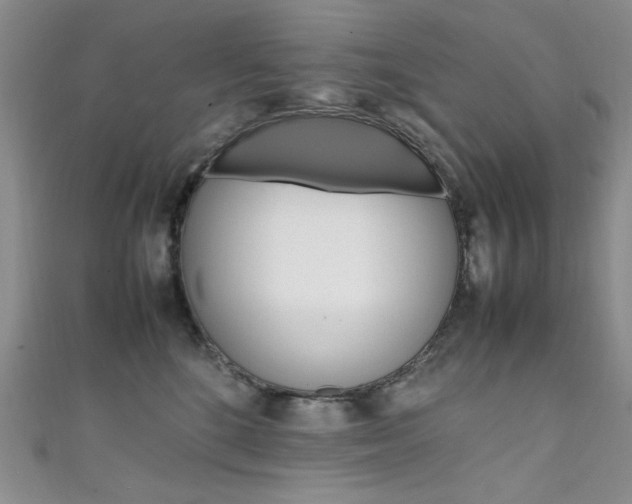 X0000111650520200907171101