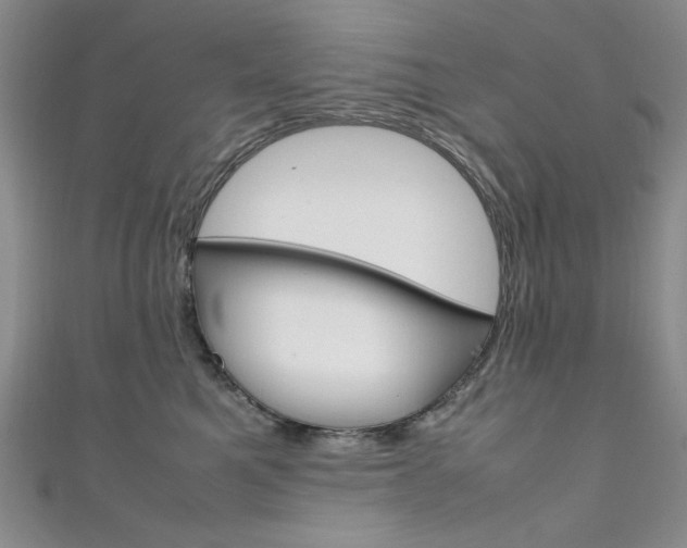 X0000111650521200907171101