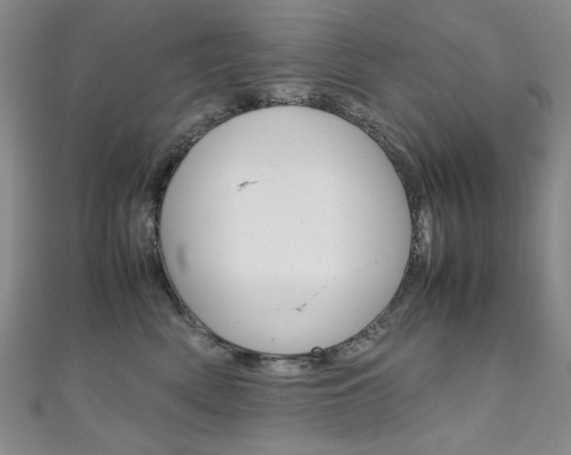 X0000111650522200907171101