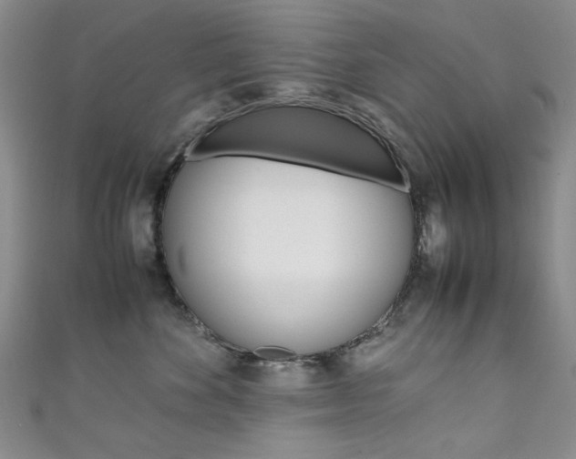 X0000111650524200907171101