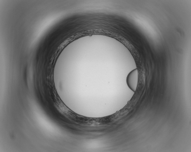 X0000111650526200907171101