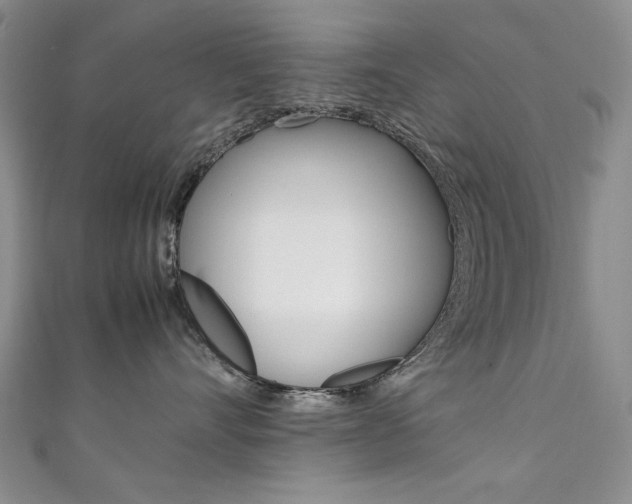 X0000111650528200907171101