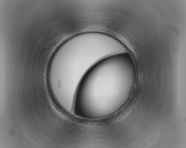 X0000111650530200907171101