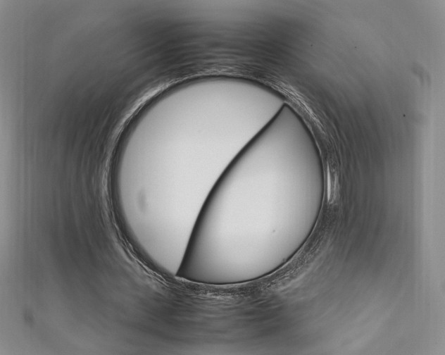 X0000111650531200907171101