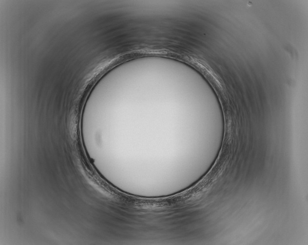 X0000111650533200907171101