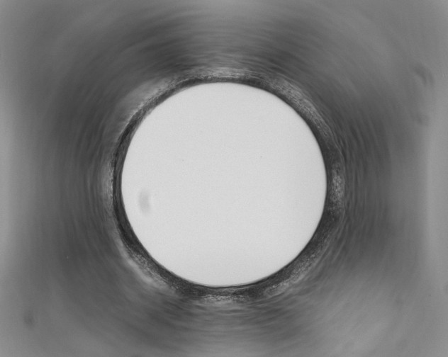 X0000111650534200907171101