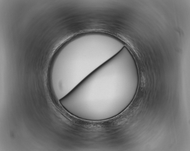 X0000111650535200907171101