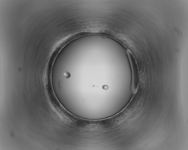 X0000111650536200907171101