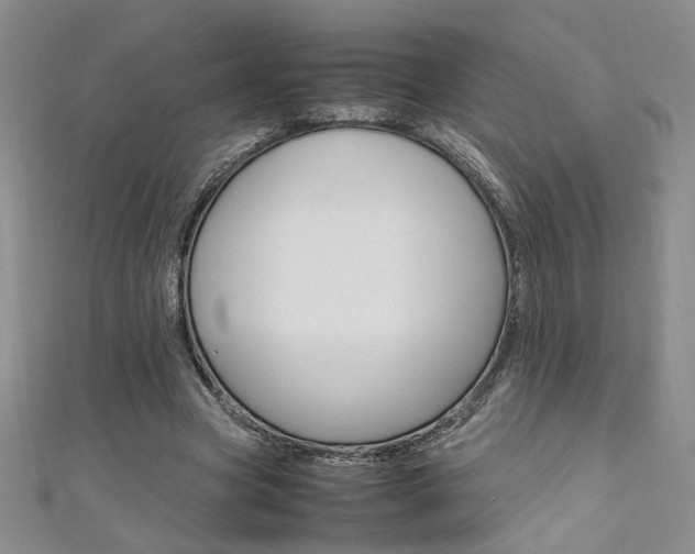 X0000111650537200907171101