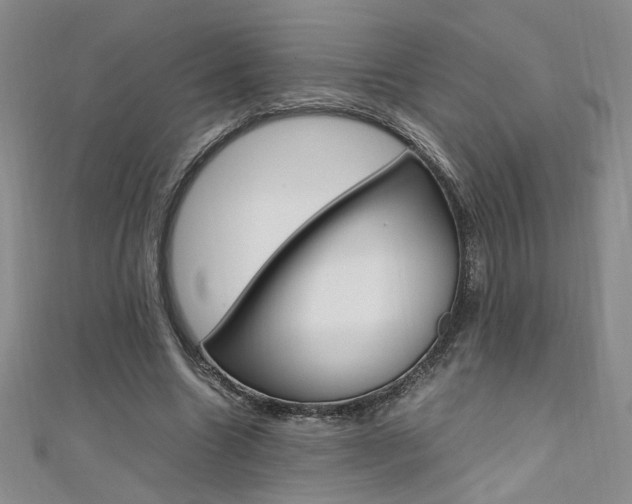 X0000111650538200907171101