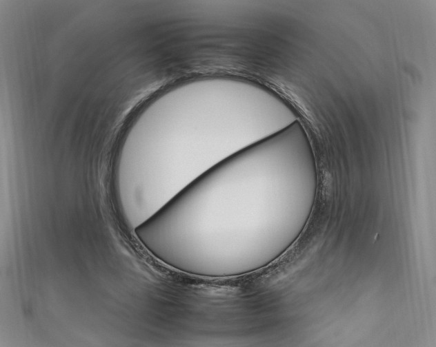 X0000111650539200907171101