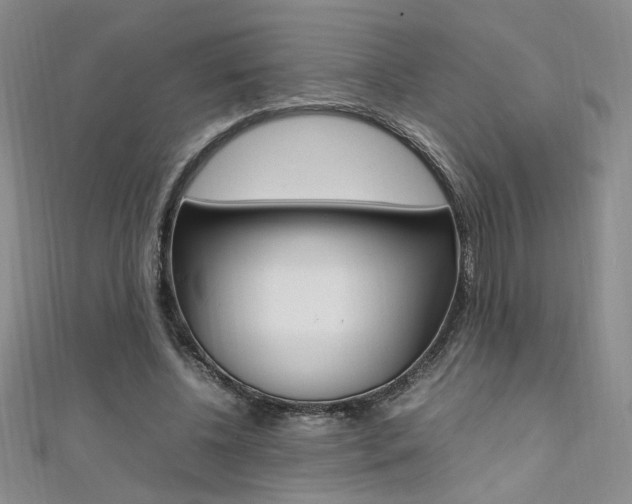 X0000111650540200907171101