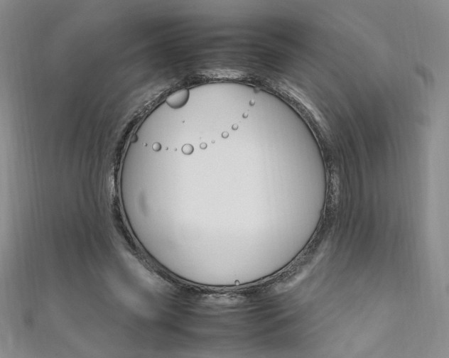 X0000111650541200907171101