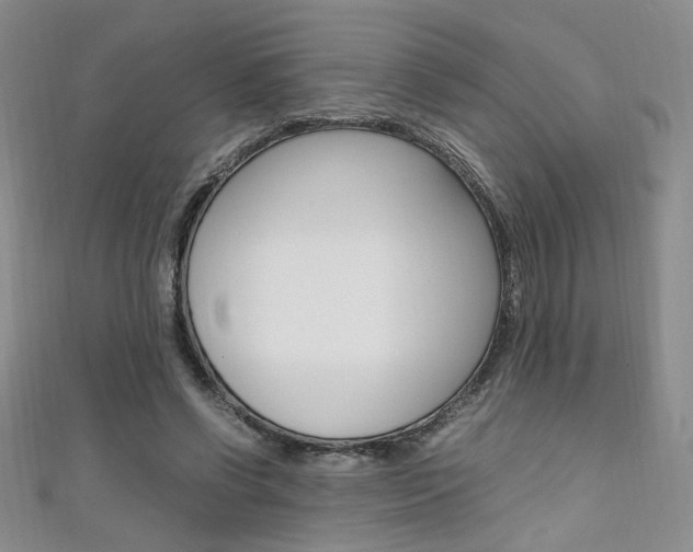 X0000111650542200907171101