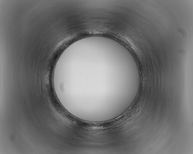 X0000111650543200907171101