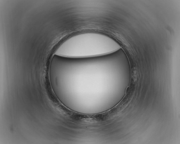 X0000111650544200907171101