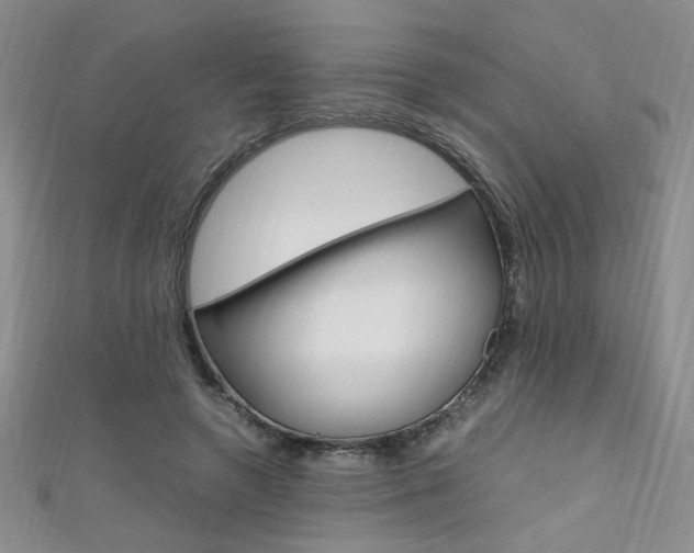 X0000111650546200907171101