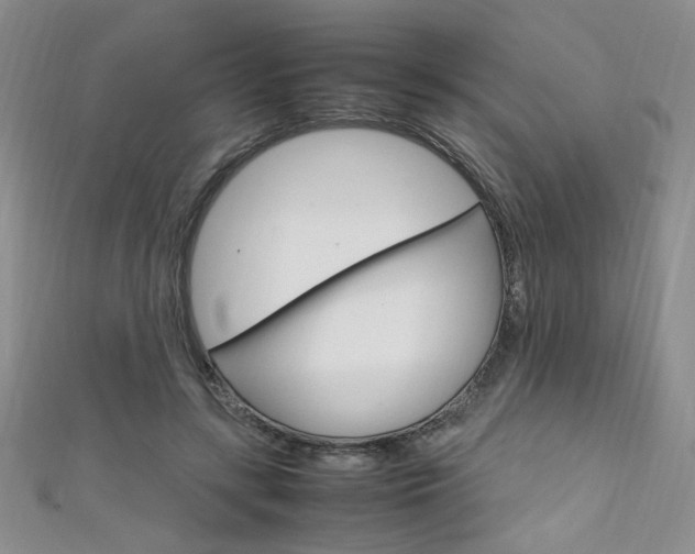 X0000111650547200907171101