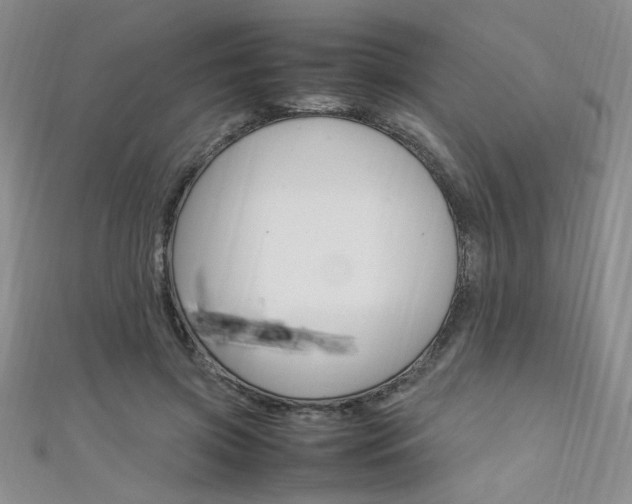 X0000111650549200907171101