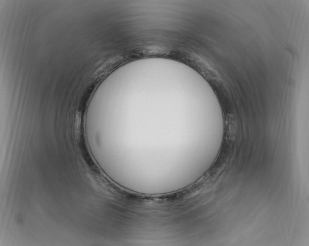 X0000111650550200907171101